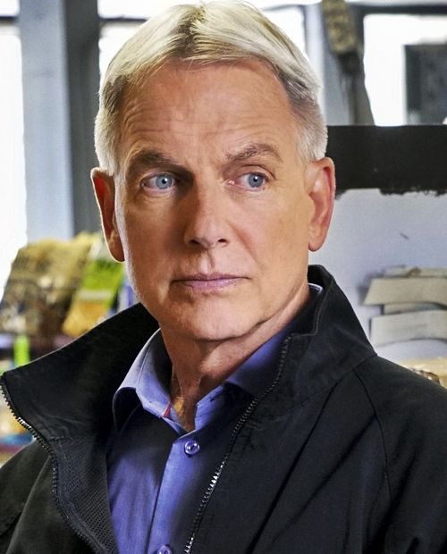 With Heavy Hearts: Sad News about The Icon Mark Harmon