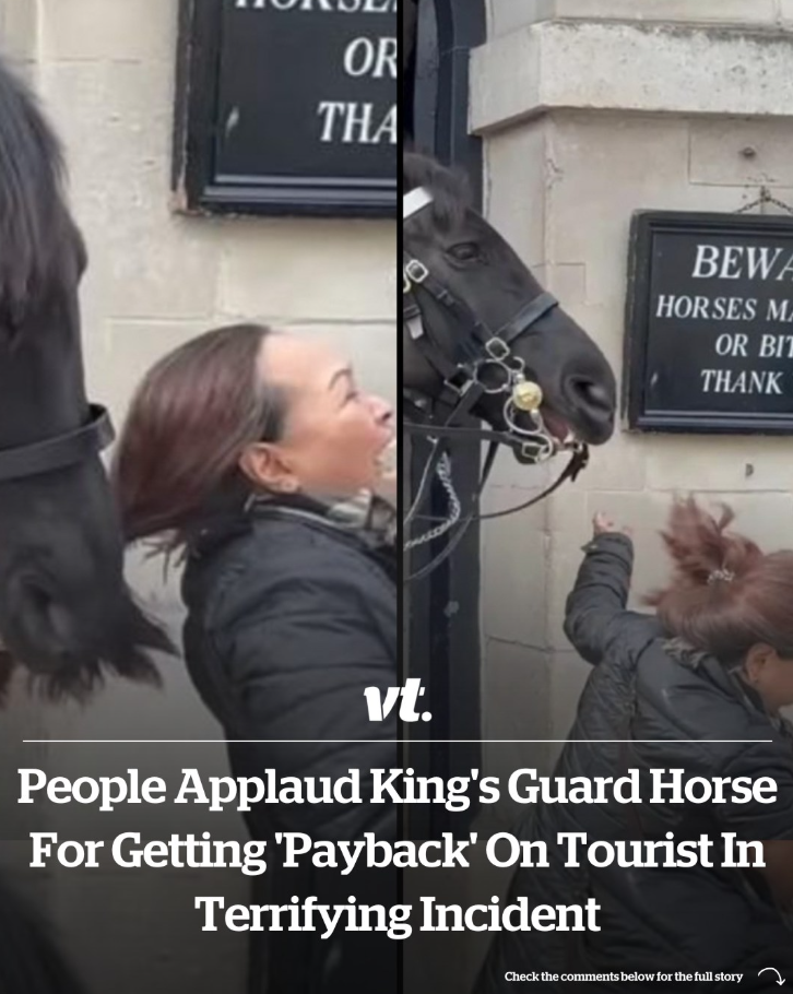 A King’s Guard horse took matters into its own hands after it got “payback” on tourists who don’t read the signs as they pose for photos.