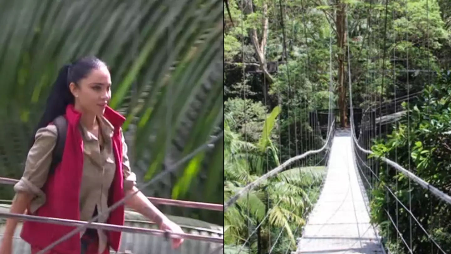 How I’m A Celeb campmates make such a quick exit across the bridge after being voted out